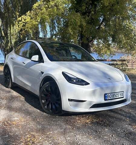Білий Тесла Model Y, об'ємом двигуна 0 л та пробігом 62 тис. км за 29700 $, фото 16 на Automoto.ua