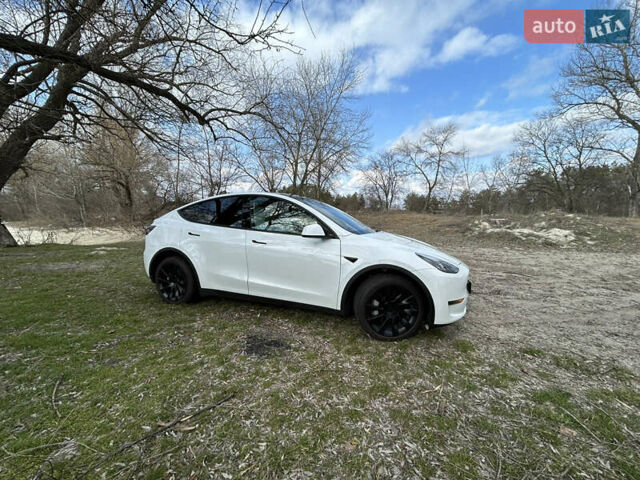 Белый Тесла Model Y, объемом двигателя 0 л и пробегом 6 тыс. км за 36900 $, фото 8 на Automoto.ua