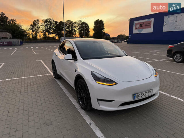 Белый Тесла Model Y, объемом двигателя 0 л и пробегом 81 тыс. км за 25900 $, фото 24 на Automoto.ua