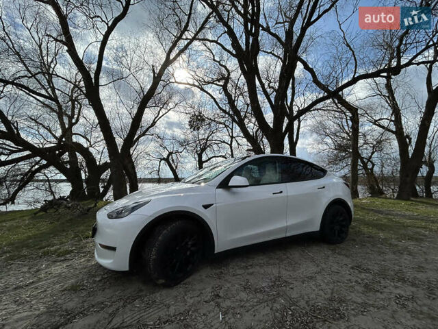 Белый Тесла Model Y, объемом двигателя 0 л и пробегом 6 тыс. км за 36900 $, фото 1 на Automoto.ua