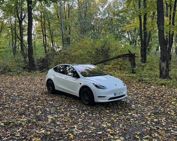 Белый Тесла Model Y, объемом двигателя 0 л и пробегом 30 тыс. км за 36500 $, фото 16 на Automoto.ua