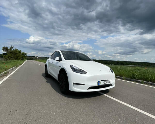 Белый Тесла Model Y, объемом двигателя 0 л и пробегом 76 тыс. км за 24900 $, фото 2 на Automoto.ua