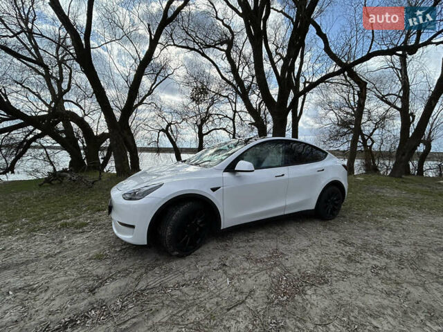 Білий Тесла Model Y, об'ємом двигуна 0 л та пробігом 6 тис. км за 42000 $, фото 3 на Automoto.ua