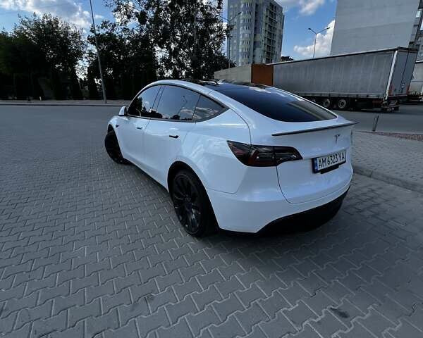 Белый Тесла Model Y, объемом двигателя 0 л и пробегом 59 тыс. км за 27999 $, фото 9 на Automoto.ua