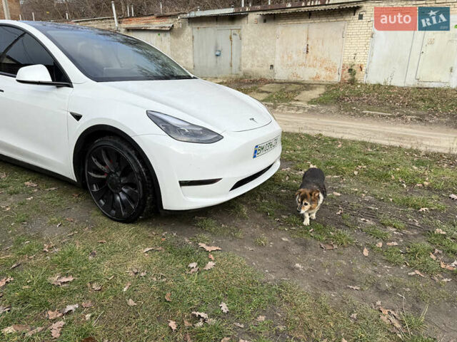 Белый Тесла Model Y, объемом двигателя 0 л и пробегом 50 тыс. км за 39900 $, фото 2 на Automoto.ua