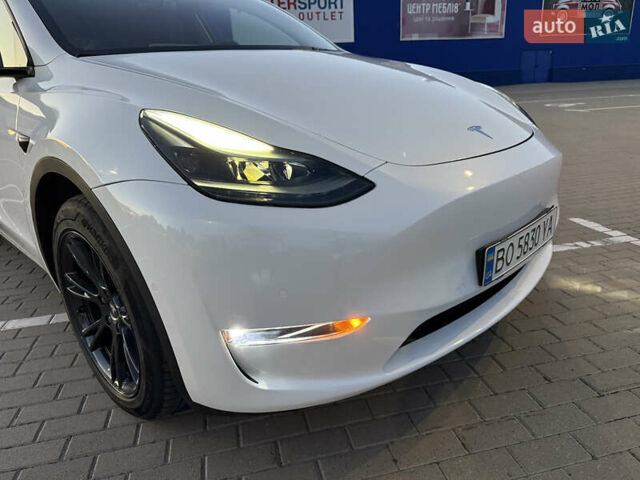 Белый Тесла Model Y, объемом двигателя 0 л и пробегом 81 тыс. км за 25900 $, фото 37 на Automoto.ua