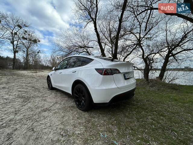 Белый Тесла Model Y, объемом двигателя 0 л и пробегом 6 тыс. км за 36900 $, фото 5 на Automoto.ua