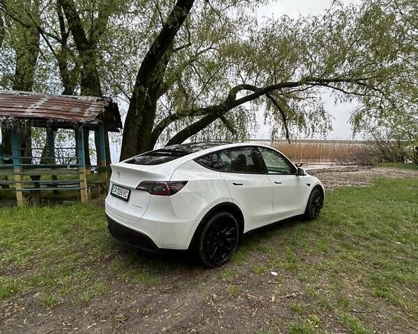 Белый Тесла Model Y, объемом двигателя 0 л и пробегом 6 тыс. км за 36900 $, фото 12 на Automoto.ua