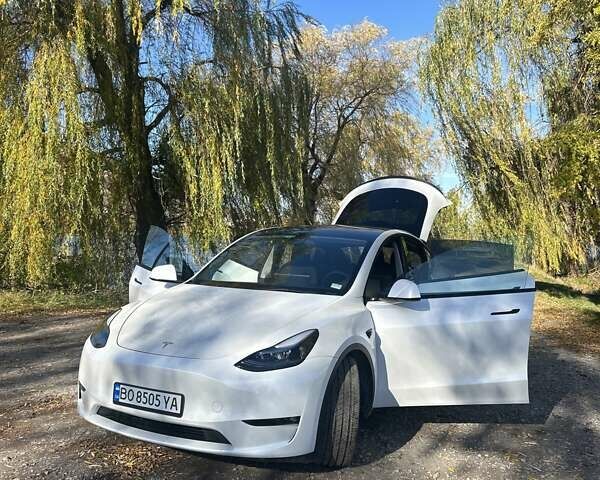 Білий Тесла Model Y, об'ємом двигуна 0 л та пробігом 62 тис. км за 29700 $, фото 8 на Automoto.ua