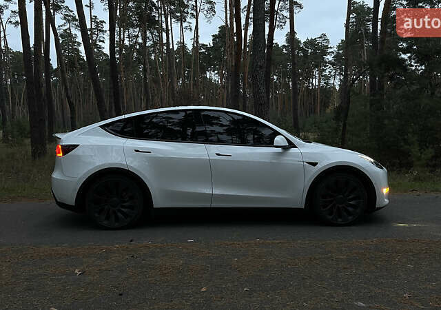 Белый Тесла Model Y, объемом двигателя 0 л и пробегом 119 тыс. км за 29000 $, фото 6 на Automoto.ua
