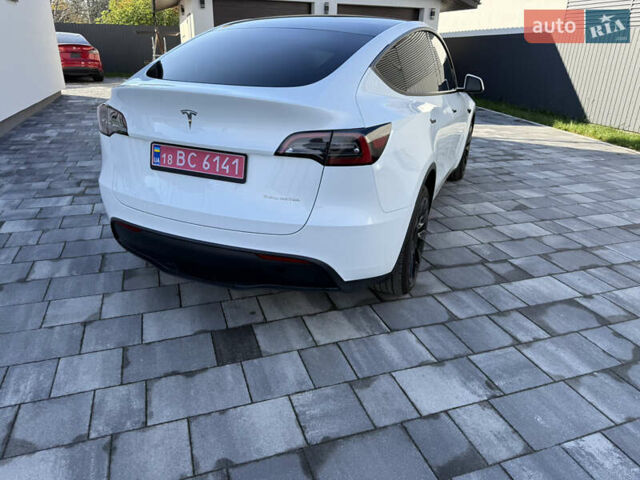 Білий Тесла Model Y, об'ємом двигуна 0 л та пробігом 49 тис. км за 24900 $, фото 1 на Automoto.ua