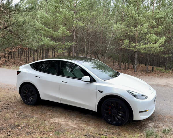 Белый Тесла Model Y, объемом двигателя 0 л и пробегом 57 тыс. км за 32700 $, фото 6 на Automoto.ua