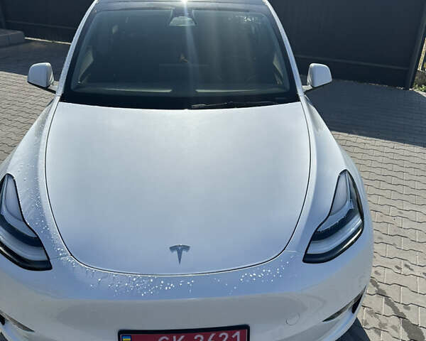Білий Тесла Model Y, об'ємом двигуна 0 л та пробігом 43 тис. км за 29500 $, фото 3 на Automoto.ua