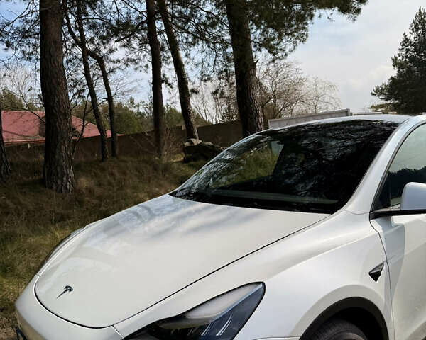 Белый Тесла Model Y, объемом двигателя 0 л и пробегом 80 тыс. км за 34800 $, фото 6 на Automoto.ua