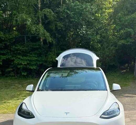 Білий Тесла Model Y, об'ємом двигуна 0 л та пробігом 48 тис. км за 26000 $, фото 3 на Automoto.ua