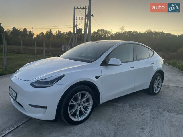 Белый Тесла Model Y, объемом двигателя 0 л и пробегом 68 тыс. км за 25900 $, фото 2 на Automoto.ua
