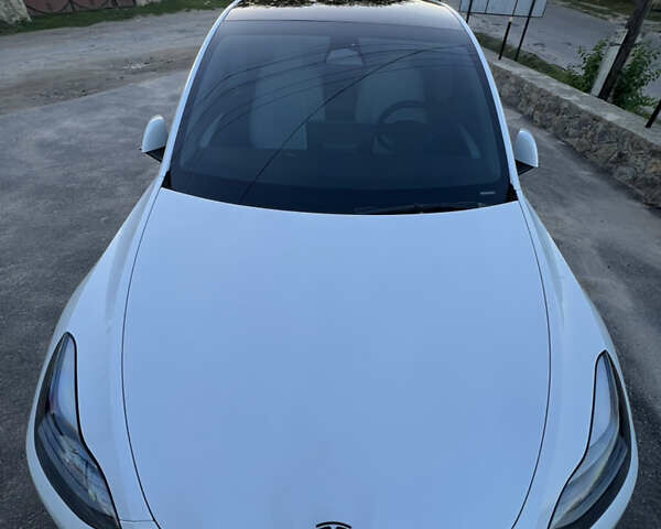 Білий Тесла Model Y, об'ємом двигуна 0 л та пробігом 81 тис. км за 31900 $, фото 19 на Automoto.ua