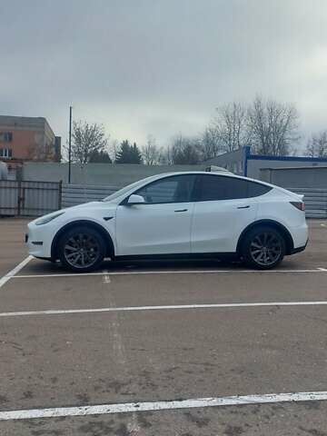 Белый Тесла Model Y, объемом двигателя 0 л и пробегом 93 тыс. км за 35500 $, фото 3 на Automoto.ua