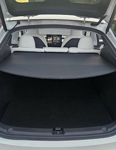 Білий Тесла Model Y, об'ємом двигуна 0 л та пробігом 1 тис. км за 39000 $, фото 10 на Automoto.ua