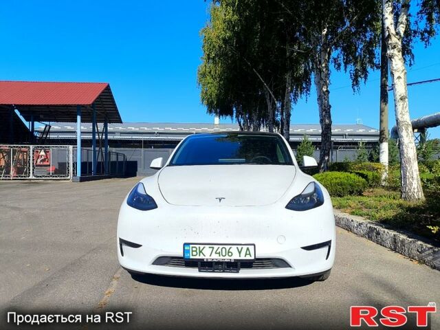 Белый Тесла Model Y, объемом двигателя 0 л и пробегом 19 тыс. км за 24000 $, фото 8 на Automoto.ua