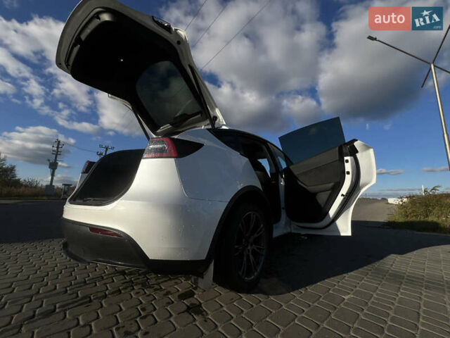 Тесла Model Y 2024 у Жовкві на Automoto.ua Білий Тесла Model Y, об'ємом двигуна 0 л та пробігом 30 тис. км за 33000 $, фото 23 на Automoto.ua