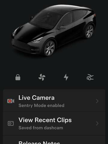 Черный Тесла Model Y, объемом двигателя 0 л и пробегом 63 тыс. км за 25300 $, фото 1 на Automoto.ua