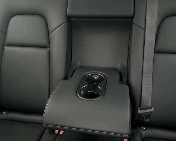 Чорний Тесла Model Y, об'ємом двигуна 0 л та пробігом 20 тис. км за 31900 $, фото 47 на Automoto.ua