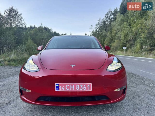 Тесла Model Y 2022 в Львове на Automoto.ua Красный Тесла Model Y, объемом двигателя 0 л и пробегом 45 тыс. км за 30999 $, фото 1 на Automoto.ua