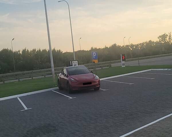 Тесла Model Y 2022 в Киеве на Automoto.ua Красный Тесла Model Y, объемом двигателя 0 л и пробегом 37 тыс. км за 26999 $, фото 2 на Automoto.ua