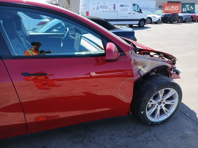 Красный Тесла Model Y, объемом двигателя 0 л и пробегом 38 тыс. км за 21500 $, фото 4 на Automoto.ua