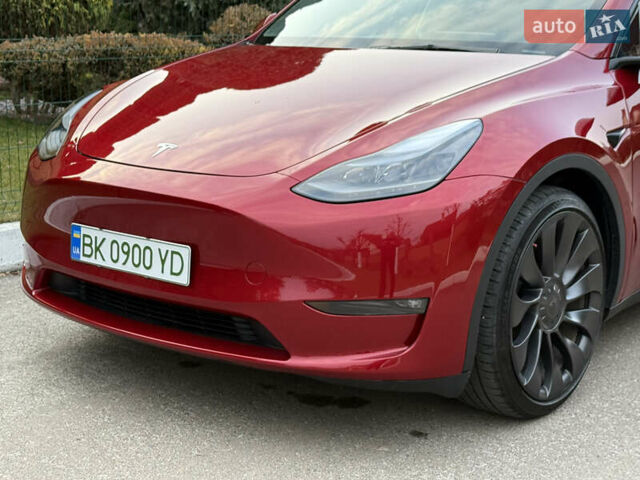 Красный Тесла Model Y, объемом двигателя 0 л и пробегом 4 тыс. км за 34999 $, фото 13 на Automoto.ua