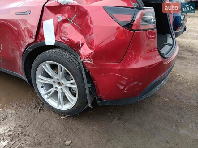 Красный Тесла Model Y, объемом двигателя 0 л и пробегом 13 тыс. км за 33000 $, фото 9 на Automoto.ua