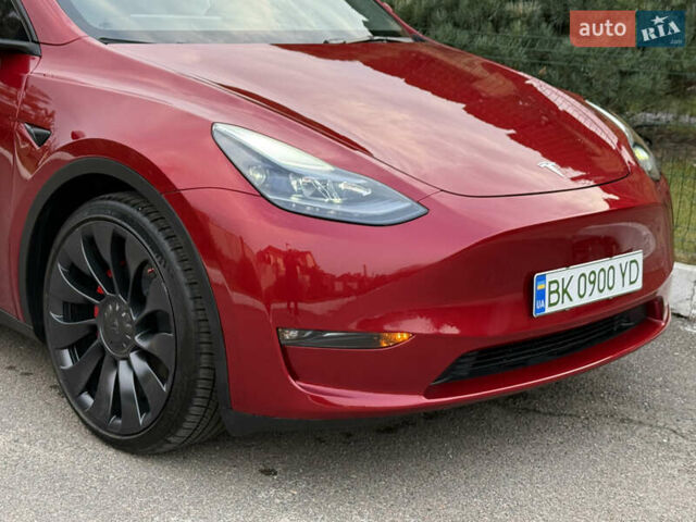 Красный Тесла Model Y, объемом двигателя 0 л и пробегом 4 тыс. км за 34999 $, фото 12 на Automoto.ua