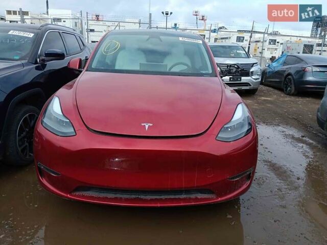 Красный Тесла Model Y, объемом двигателя 0 л и пробегом 13 тыс. км за 33000 $, фото 1 на Automoto.ua