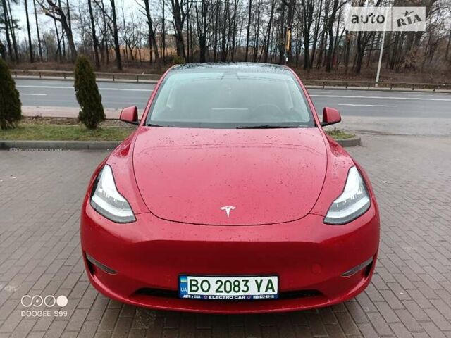 Тесла Model Y, объемом двигателя 0 л и пробегом 39 тыс. км за 25500 $, фото 1 на Automoto.ua