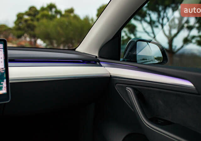 Сірий Тесла Model Y, об'ємом двигуна 0 л та пробігом 75 тис. км за 26499 $, фото 30 на Automoto.ua