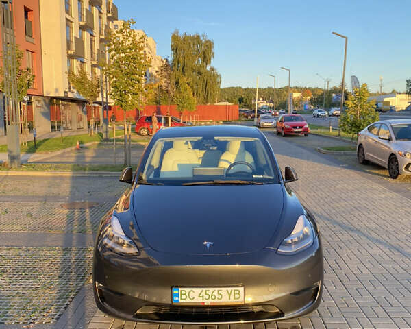 Серый Тесла Model Y, объемом двигателя 0 л и пробегом 98 тыс. км за 25300 $, фото 20 на Automoto.ua