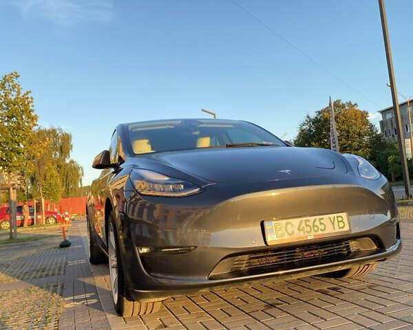 Серый Тесла Model Y, объемом двигателя 0 л и пробегом 98 тыс. км за 25300 $, фото 19 на Automoto.ua