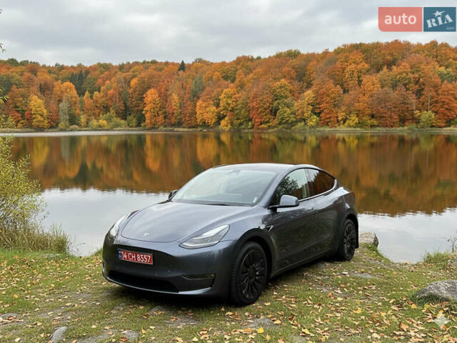 Серый Тесла Model Y, объемом двигателя 0 л и пробегом 95 тыс. км за 24900 $, фото 1 на Automoto.ua