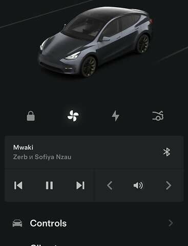 Сірий Тесла Model Y, об'ємом двигуна 0 л та пробігом 73 тис. км за 30000 $, фото 37 на Automoto.ua