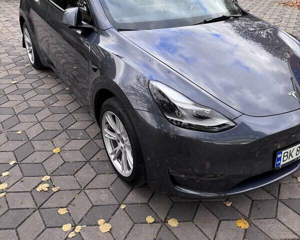 Тесла Model Y 2023 в Ровно на Automoto.ua Серый Тесла Model Y, объемом двигателя 0 л и пробегом 30 тыс. км за 30000 $, фото 35 на Automoto.ua