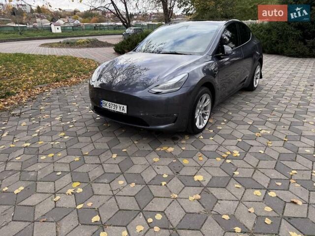 Тесла Model Y 2023 в Ровно на Automoto.ua Серый Тесла Model Y, объемом двигателя 0 л и пробегом 30 тыс. км за 30000 $, фото 2 на Automoto.ua