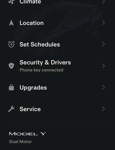 Серый Тесла Model Y, объемом двигателя 0 л и пробегом 44 тыс. км за 25000 $, фото 27 на Automoto.ua
