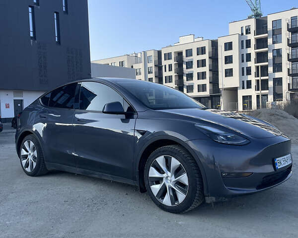Сірий Тесла Model Y, об'ємом двигуна 0 л та пробігом 43 тис. км за 28500 $, фото 35 на Automoto.ua