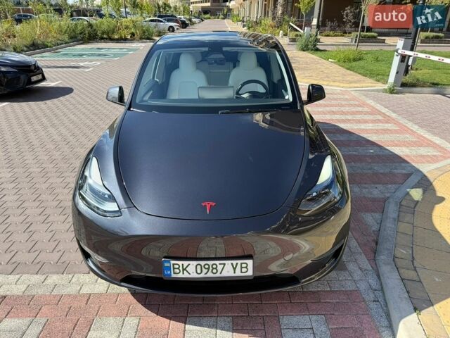Серый Тесла Model Y, объемом двигателя 0 л и пробегом 44 тыс. км за 30000 $, фото 11 на Automoto.ua