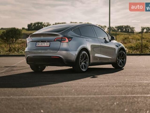 Серый Тесла Model Y, объемом двигателя 0 л и пробегом 6 тыс. км за 33500 $, фото 1 на Automoto.ua