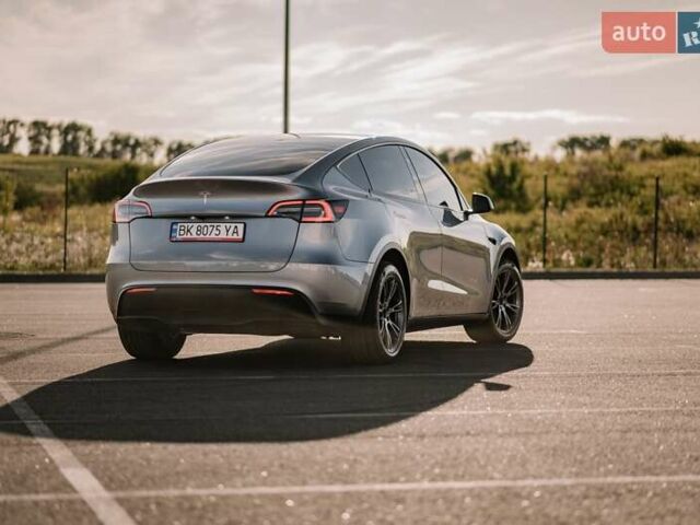 Серый Тесла Model Y, объемом двигателя 0 л и пробегом 6 тыс. км за 33500 $, фото 2 на Automoto.ua