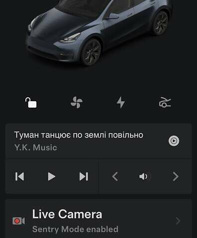 Серый Тесла Model Y, объемом двигателя 0 л и пробегом 5 тыс. км за 35700 $, фото 13 на Automoto.ua