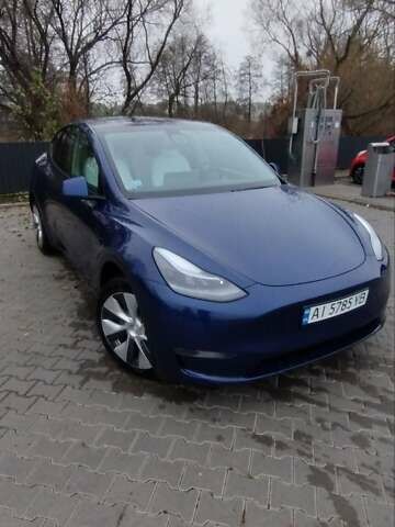 Синий Тесла Model Y, объемом двигателя 0 л и пробегом 261 тыс. км за 19600 $, фото 31 на Automoto.ua
