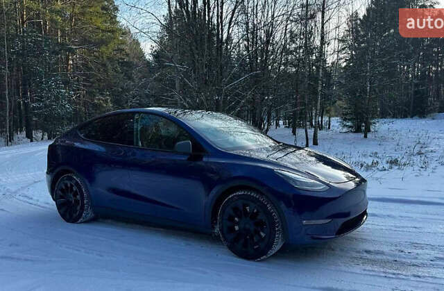 Синий Тесла Model Y, объемом двигателя 0 л и пробегом 55 тыс. км за 28000 $, фото 6 на Automoto.ua